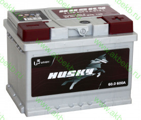 Аккумулятор Husky 6СТ-60.0 (низкая)