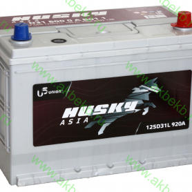 Аккумулятор Husky Asia 100.0 (125D31L)