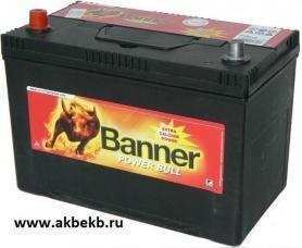 Аккумулятор Banner (Баннер) Power Bull P95 05