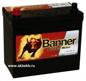 Аккумулятор Banner (Баннер) Power Bull P45 24
