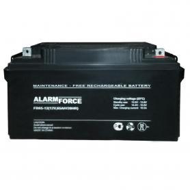 Аккумулятор Alarm Force 12-65